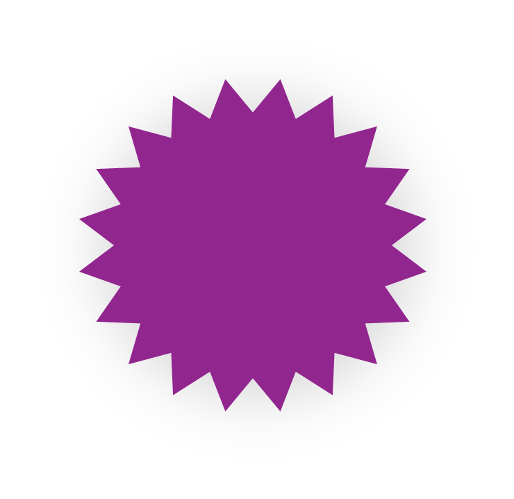 certificate icon